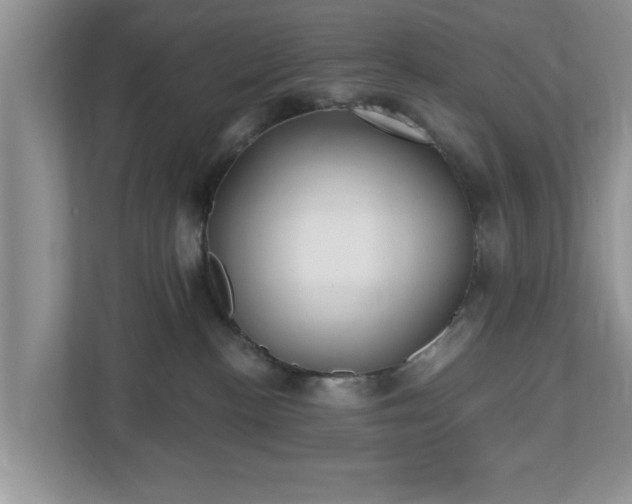 X0000112540188200908241534