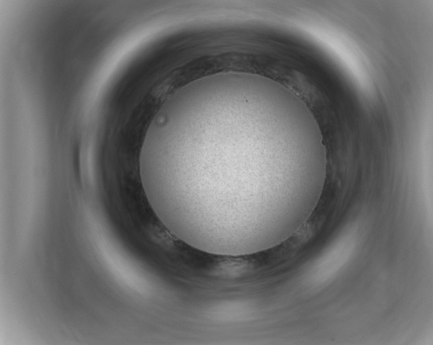 X0000112540189200908241534