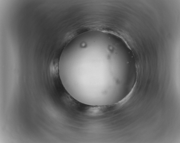 X0000112540190200908241534