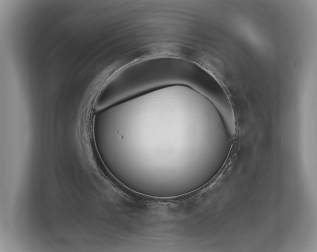 X0000112540193200908241534