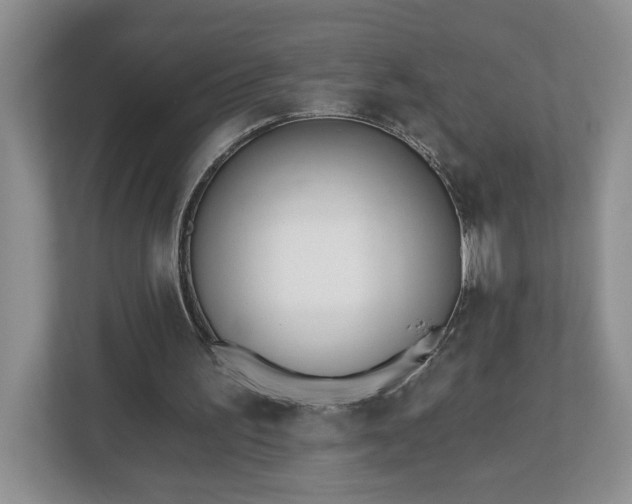 X0000112540195200908241534