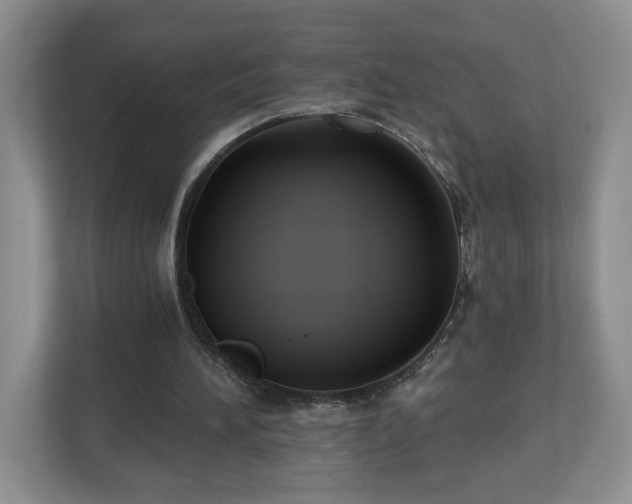 X0000112540196200908241533