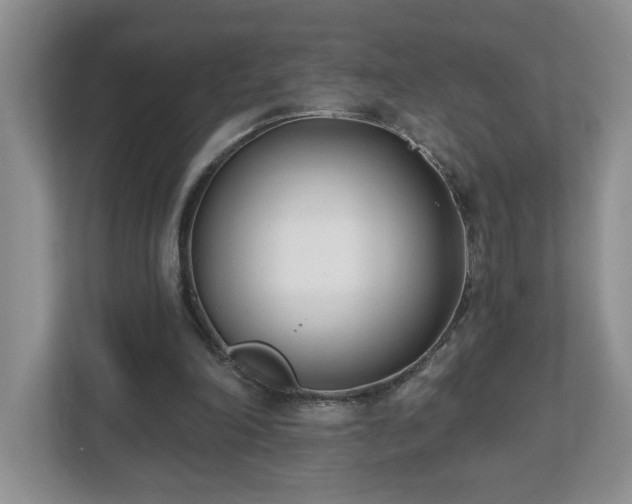 X0000112540198200908241533