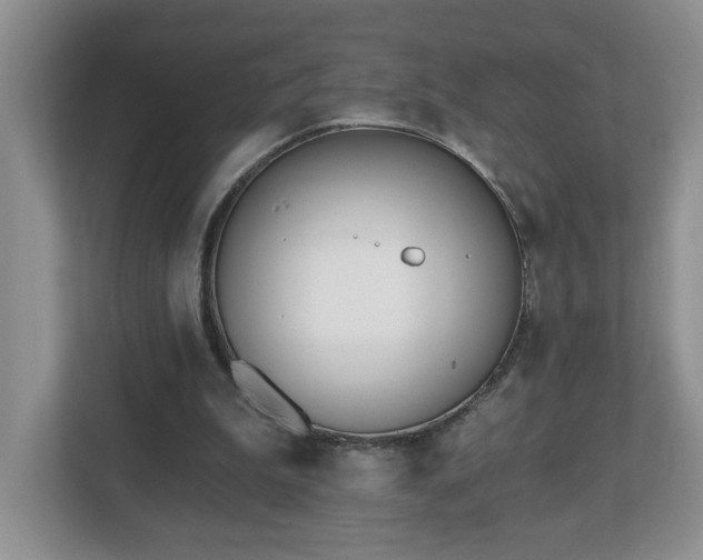 X0000112540199200908241533