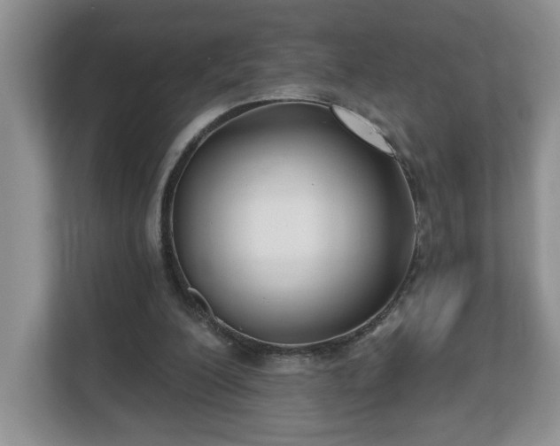 X0000112540200200908241533