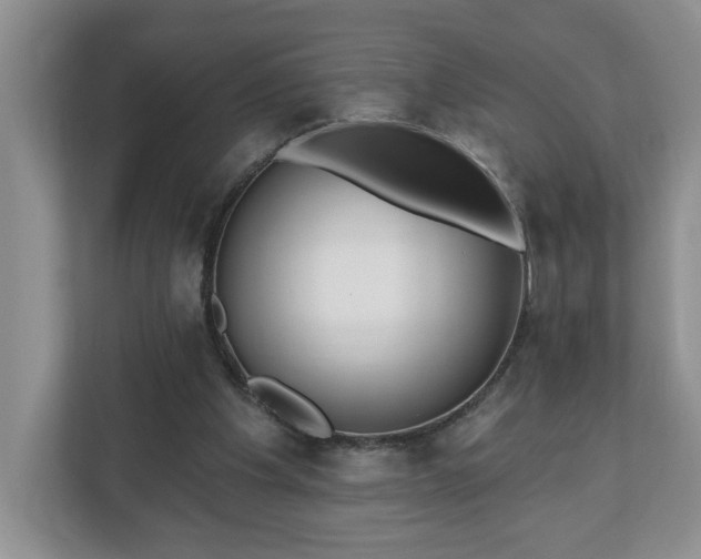 X0000112540201200908241533