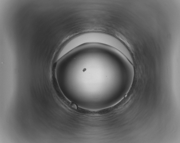 X0000112540203200908241533