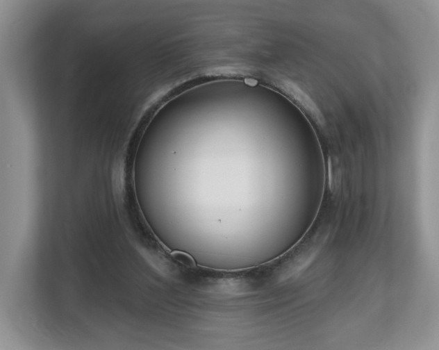X0000112540204200908241533