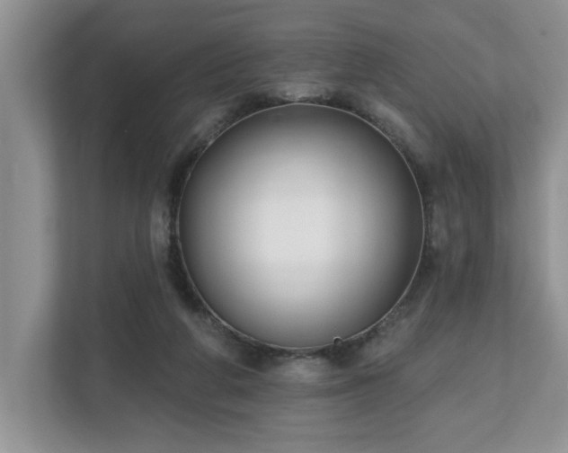 X0000112540210200908241533