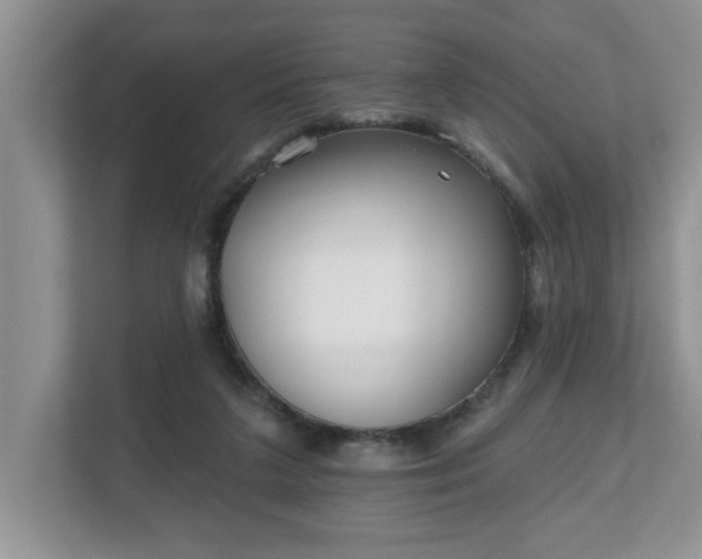 X0000112540211200908241533