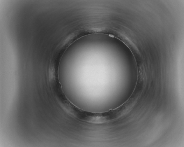 X0000112540212200908241533