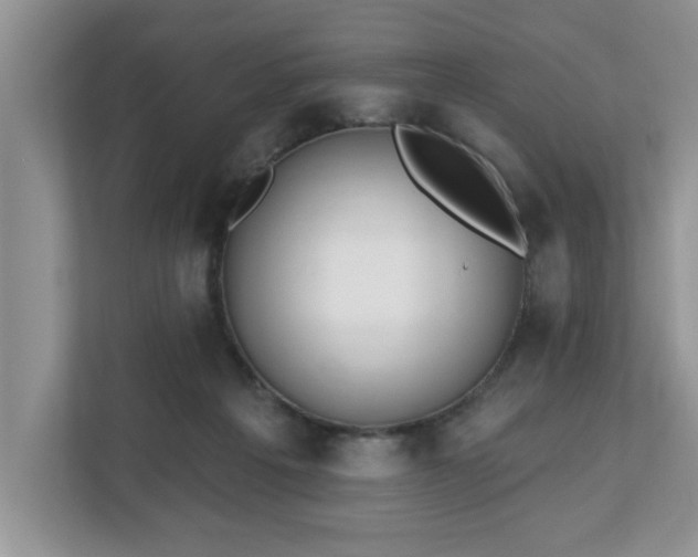 X0000112540217200908241533