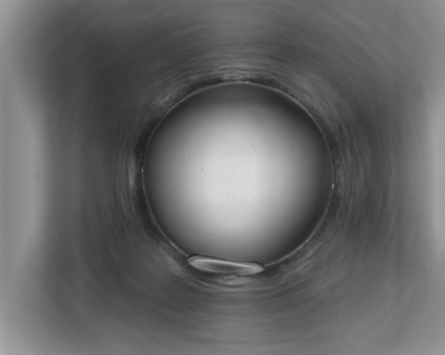 X0000112540219200908241533