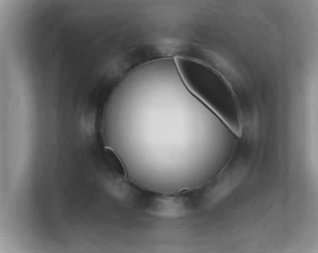X0000112540221200908241533