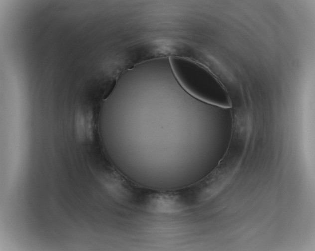 X0000112540223200908241533