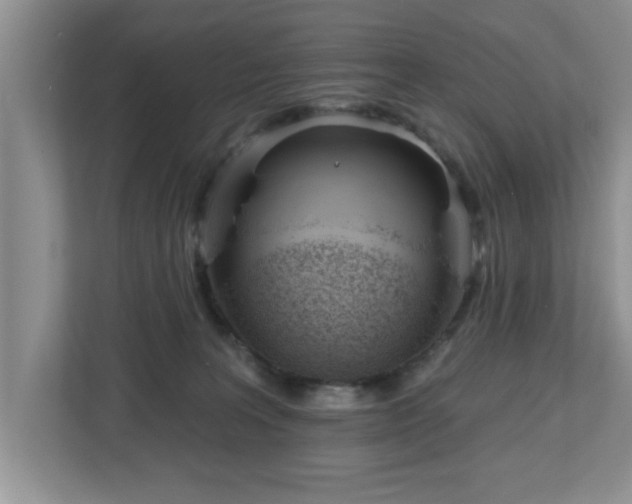 X0000112540227200908241533