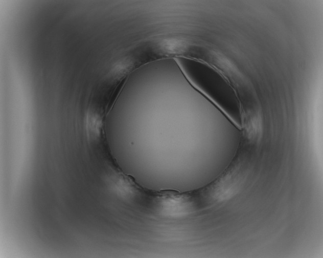 X0000112540235200908241533