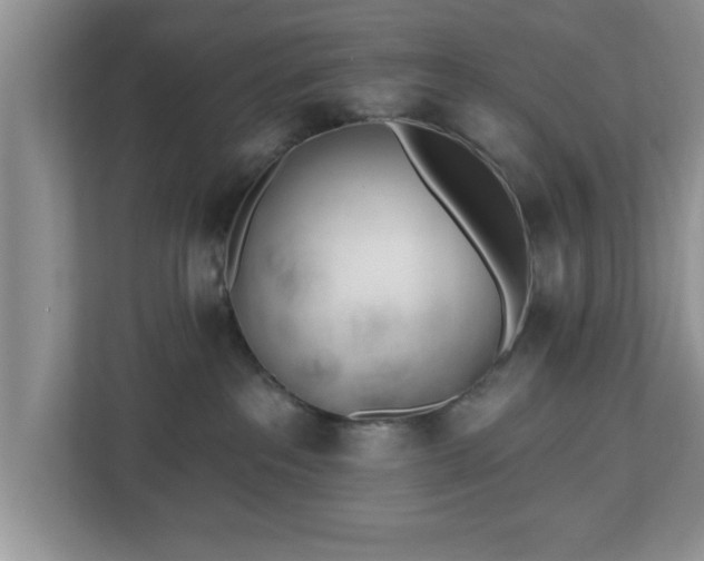 X0000112540237200908241533