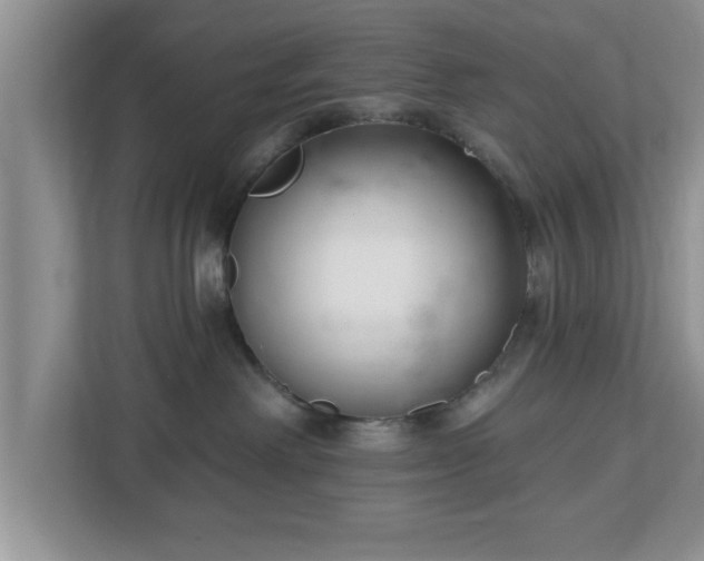 X0000112540238200908241533