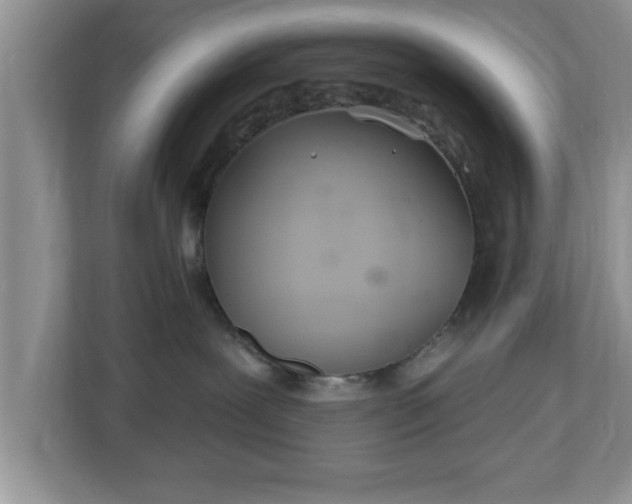 X0000112540239200908241533