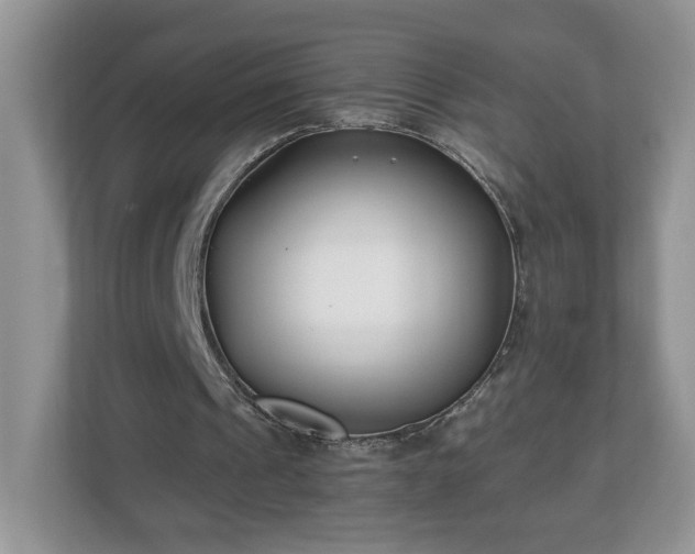 X0000112540241200908241532