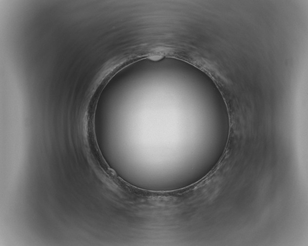 X0000112540242200908241532