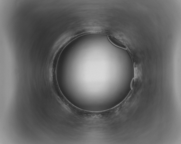 X0000112540243200908241532