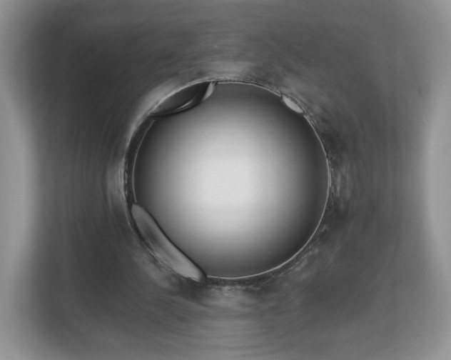 X0000112540244200908241532