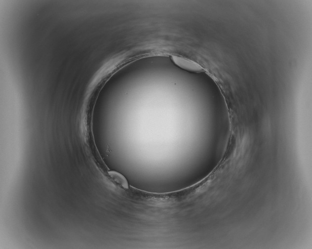 X0000112540245200908241532