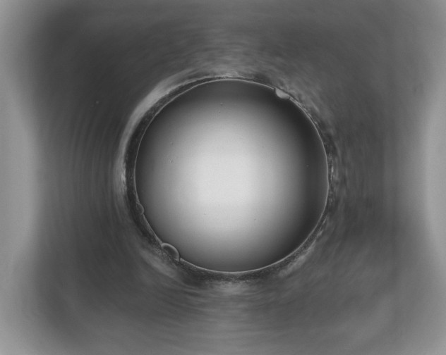 X0000112540246200908241532
