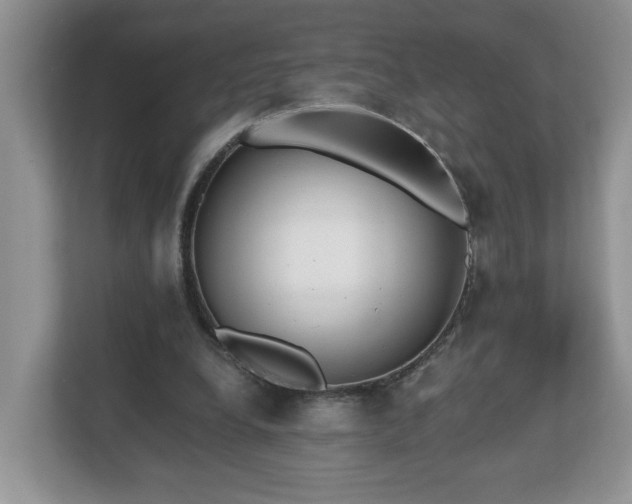 X0000112540248200908241532