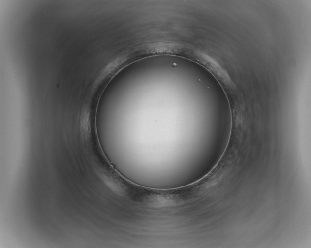 X0000112540250200908241532