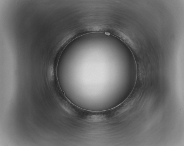 X0000112540251200908241532