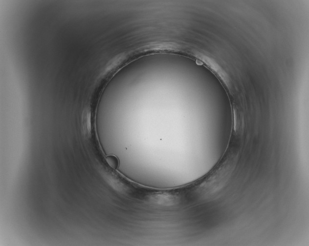 X0000112540253200908241532