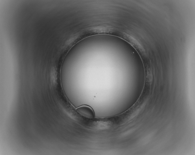 X0000112540255200908241532