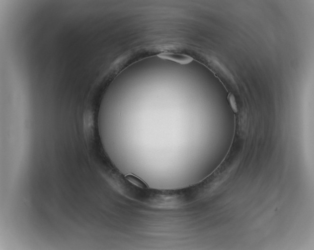 X0000112540260200908241533
