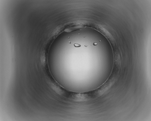 X0000112540261200908241533