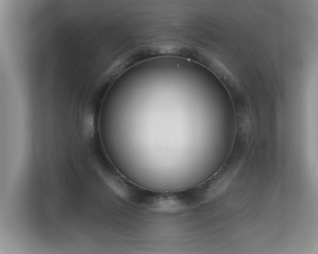 X0000112540262200908241533