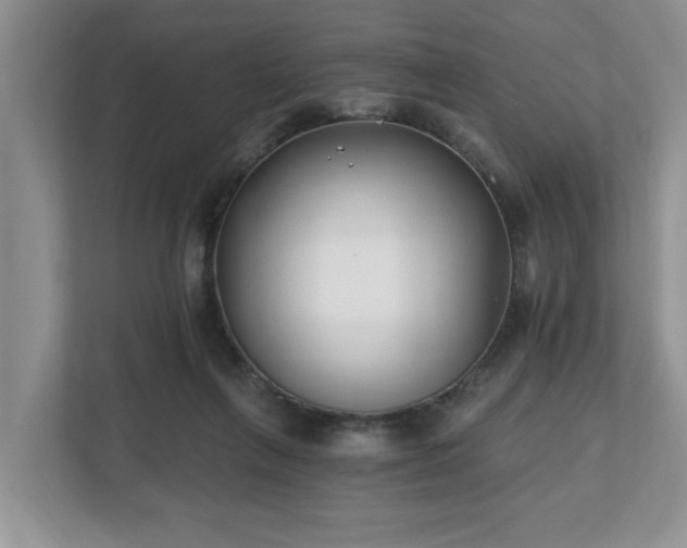 X0000112540263200908241533