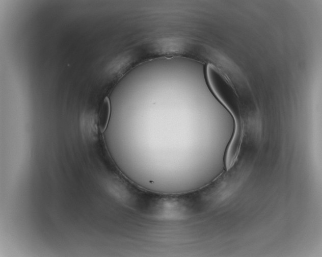 X0000112540264200908241533