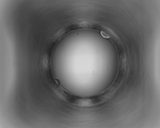 X0000112540266200908241533