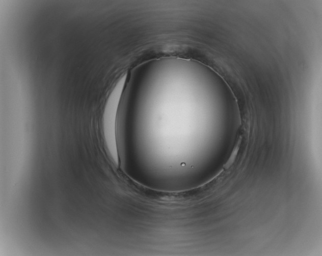 X0000112540272200908241533