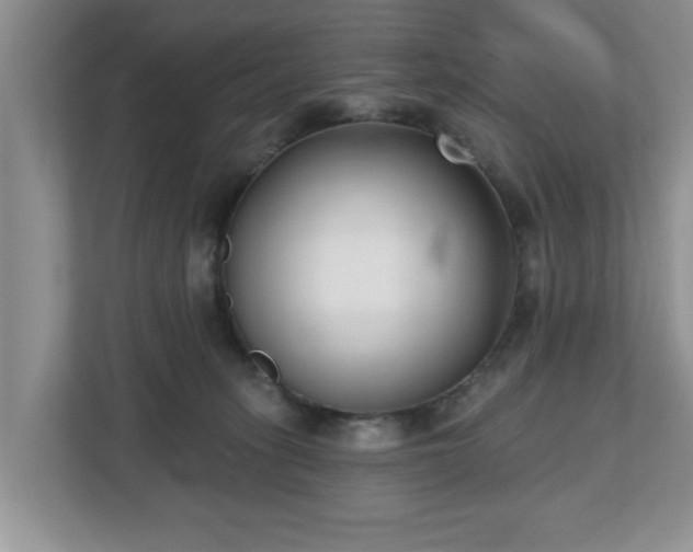 X0000112540275200908241533