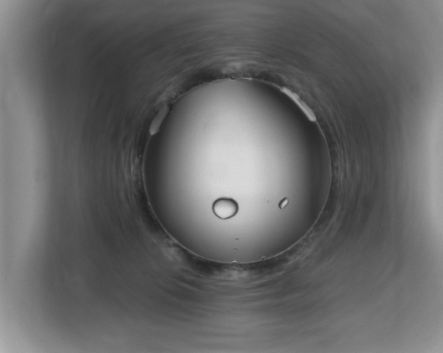 X0000112540276200908241533