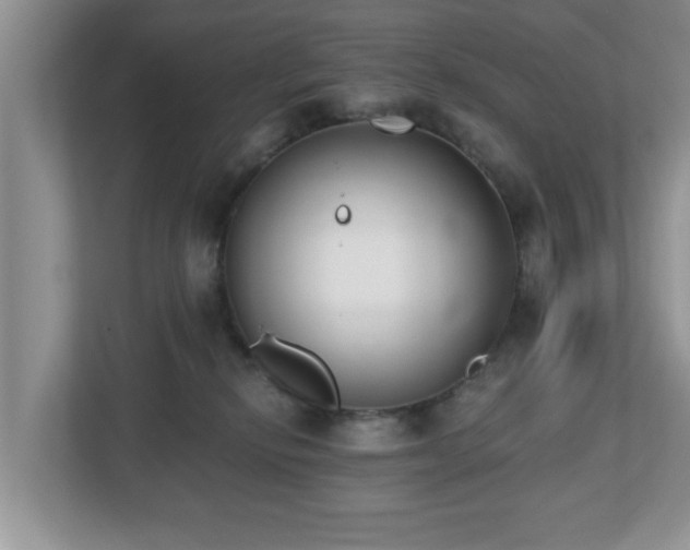 X0000112540278200908241533