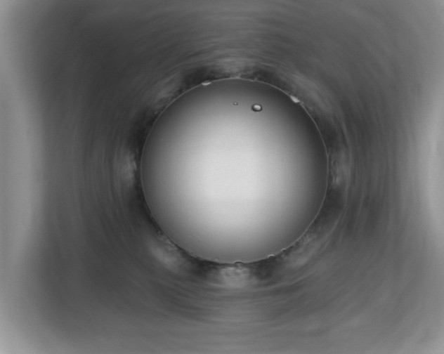 X0000112540279200908241533