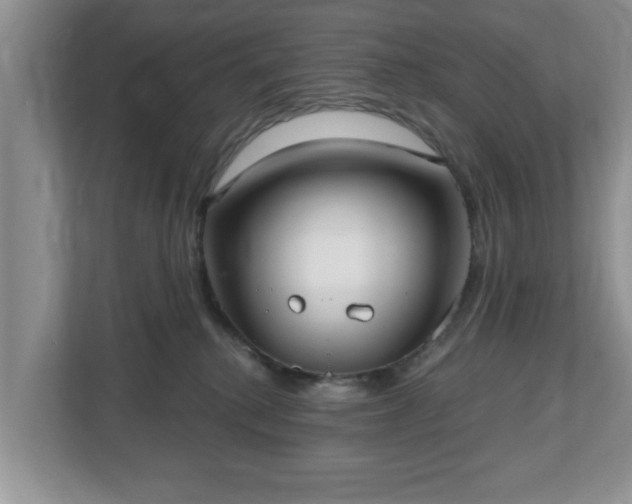 X0000112540280200908241533