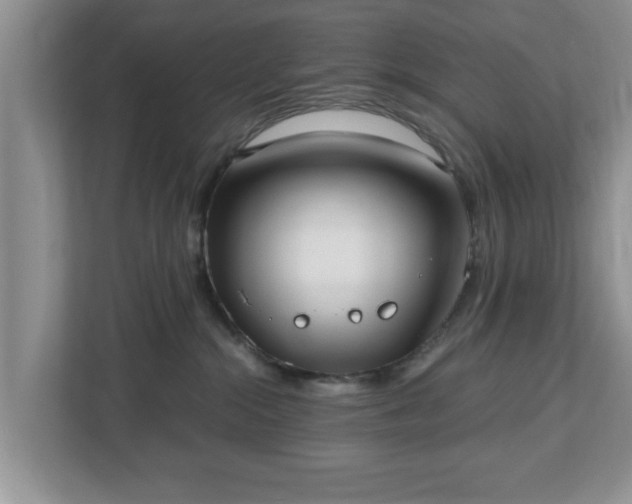 X0000112540284200908241533