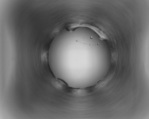 X0000112540286200908241533