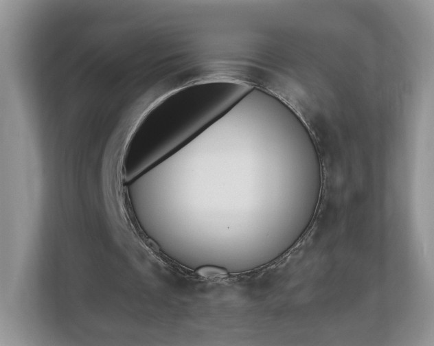 X0000112540289200908241532